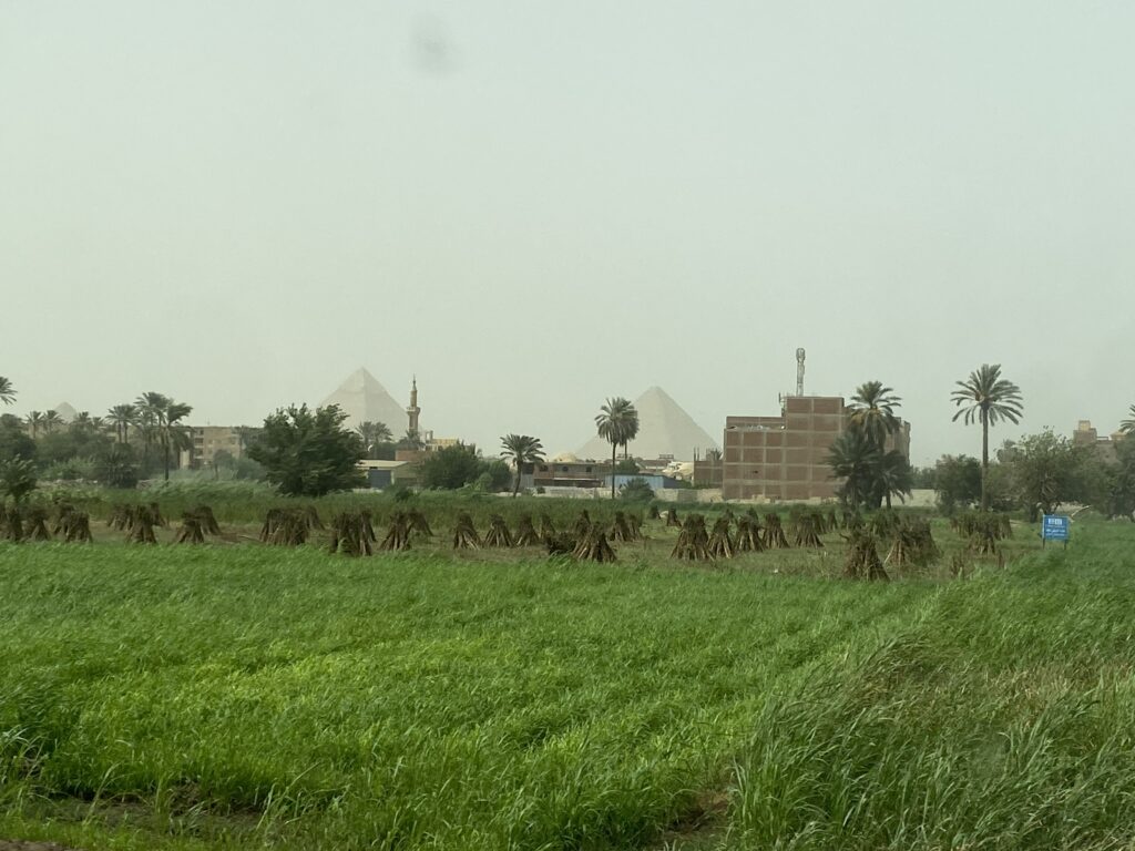 Giza Plateau Day Tour