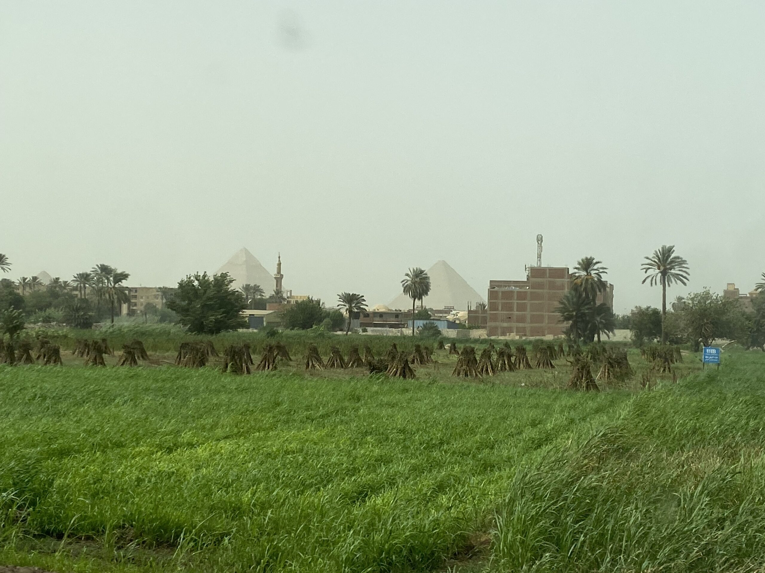Giza Plateau Day Tour